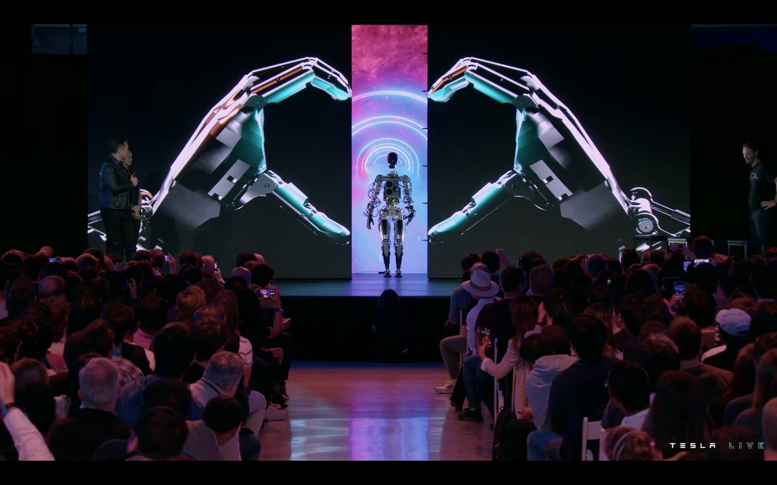 "Bumble C" first reveal