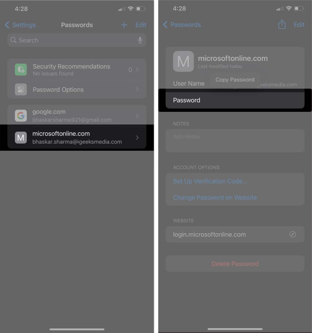 Finding a saved password in the iOS Settings app