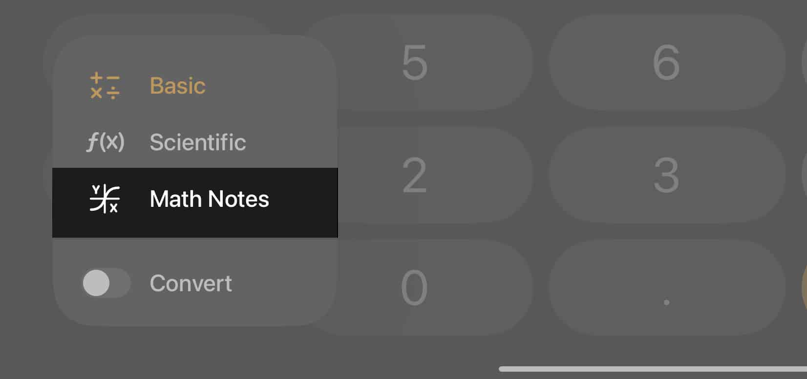 Math Notes option in the iPad Calculator button